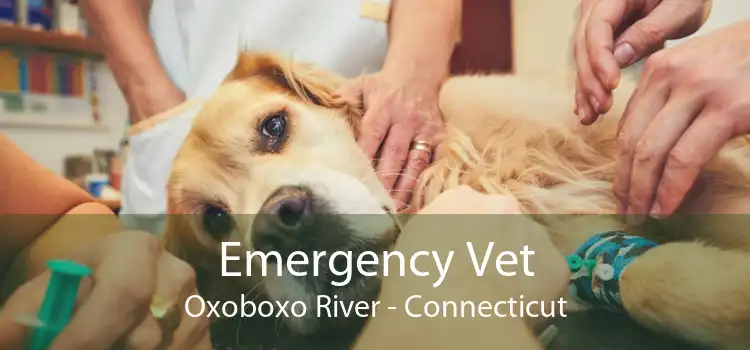 Emergency Vet Oxoboxo River - Connecticut