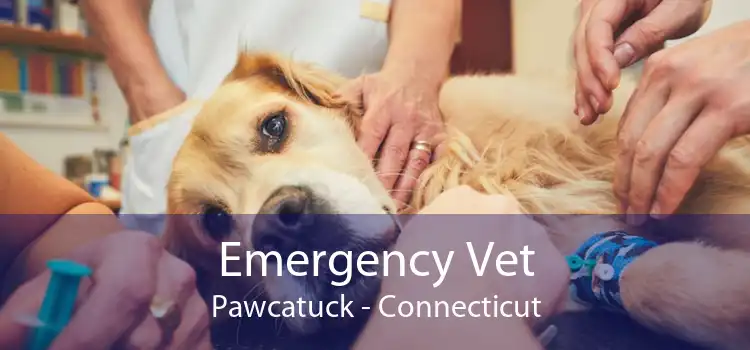 Emergency Vet Pawcatuck - Connecticut