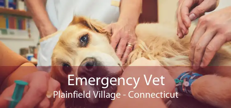 Emergency Vet Plainfield Village - Connecticut