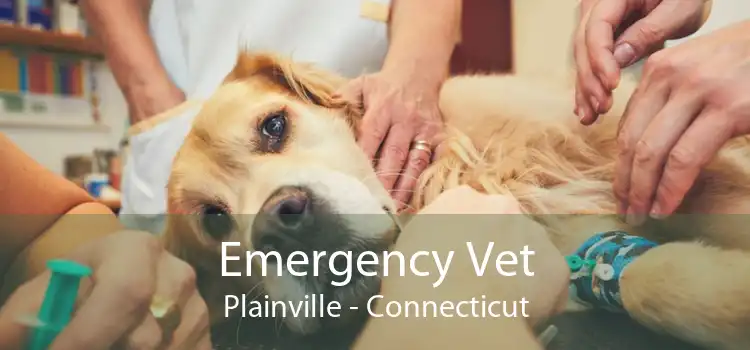 Emergency Vet Plainville - Connecticut