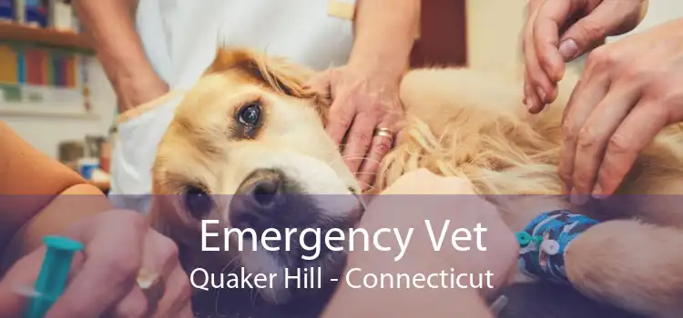 Emergency Vet Quaker Hill - Connecticut