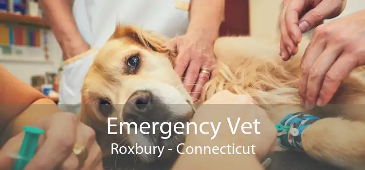 Emergency Vet Roxbury - Connecticut