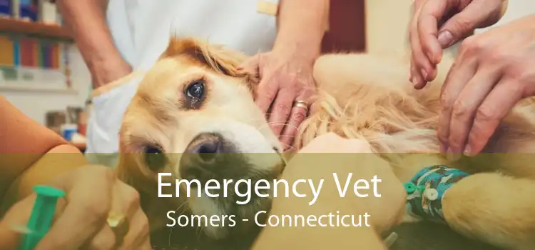 Emergency Vet Somers - Connecticut