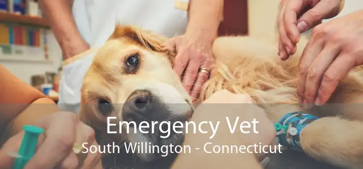 Emergency Vet South Willington - Connecticut