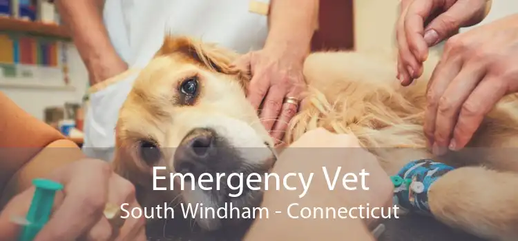 Emergency Vet South Windham - Connecticut