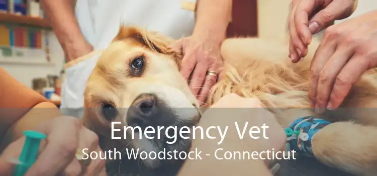 Emergency Vet South Woodstock - Connecticut