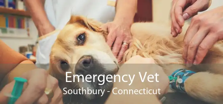 Emergency Vet Southbury - Connecticut