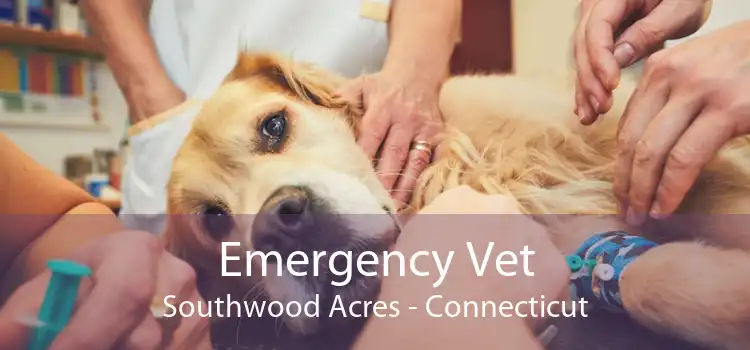 Emergency Vet Southwood Acres - Connecticut