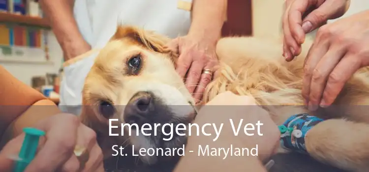 Emergency Vet St. Leonard - Maryland