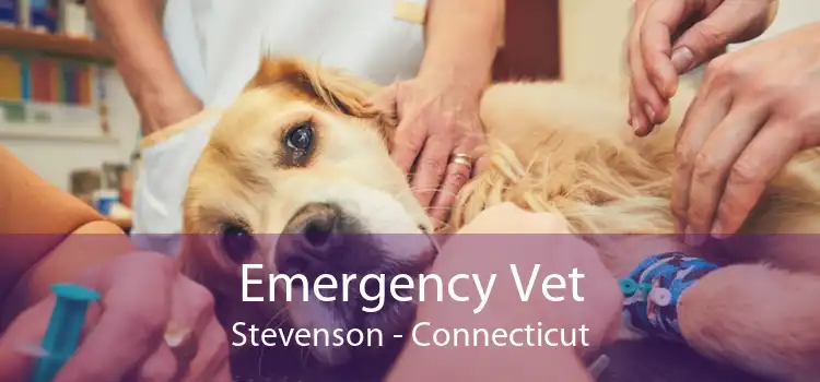 Emergency Vet Stevenson - Connecticut