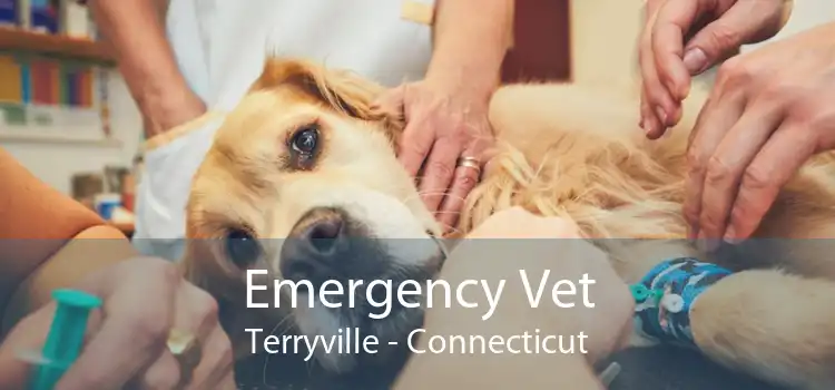 Emergency Vet Terryville - Connecticut