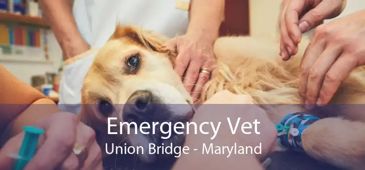 Emergency Vet Union Bridge - Maryland