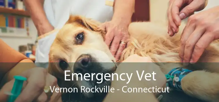 Emergency Vet Vernon Rockville - Connecticut