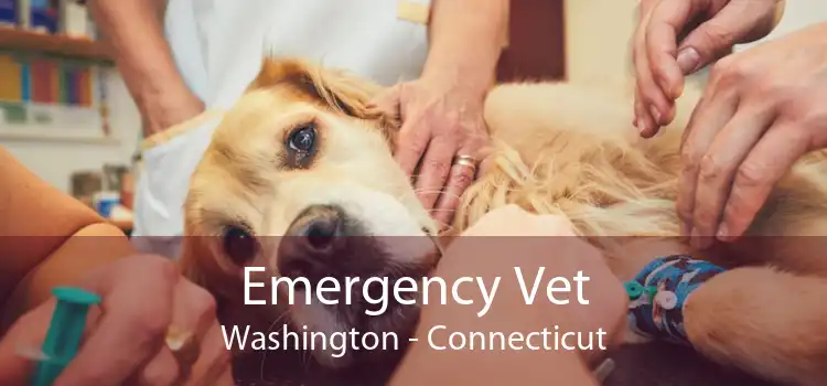 Emergency Vet Washington - Connecticut