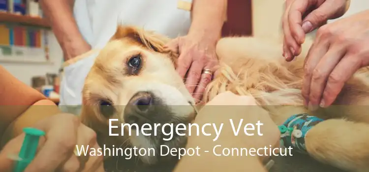 Emergency Vet Washington Depot - Connecticut