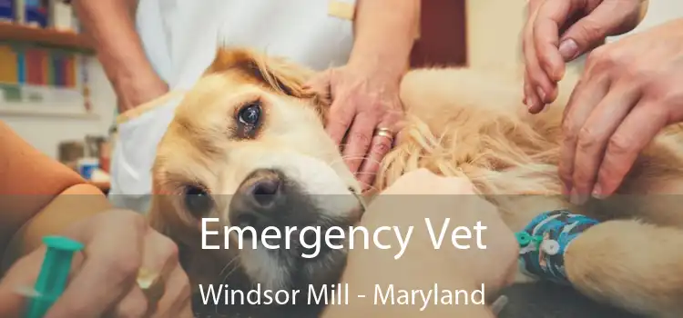 Emergency Vet Windsor Mill - Maryland