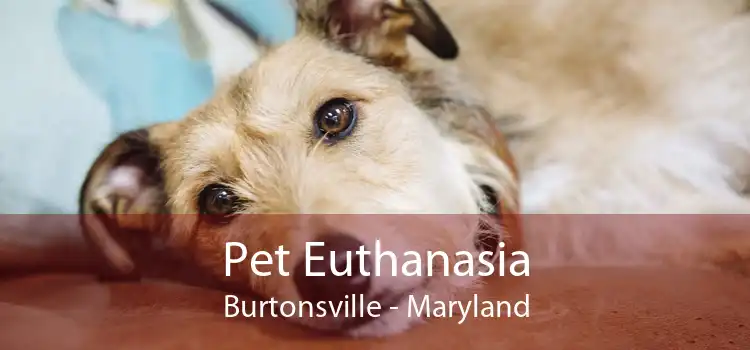 Pet Euthanasia Burtonsville - Maryland