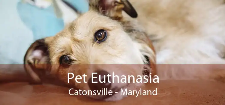 Pet Euthanasia Catonsville - Maryland