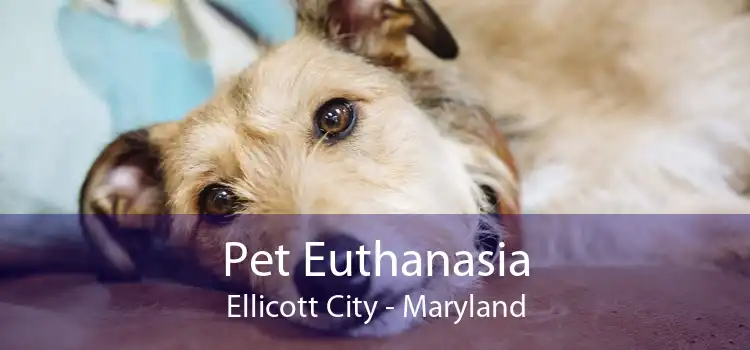 Pet Euthanasia Ellicott City - Maryland