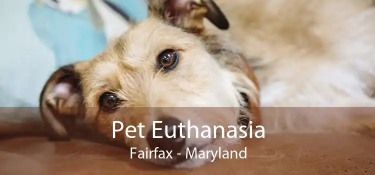 Pet Euthanasia Fairfax - Maryland