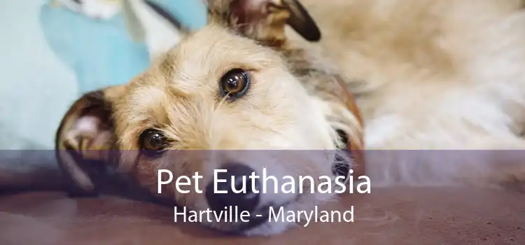 Pet Euthanasia Hartville - Maryland