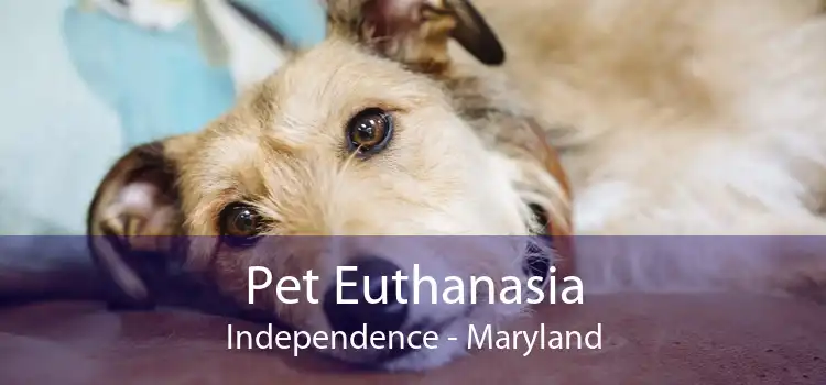 Pet Euthanasia Independence - Maryland