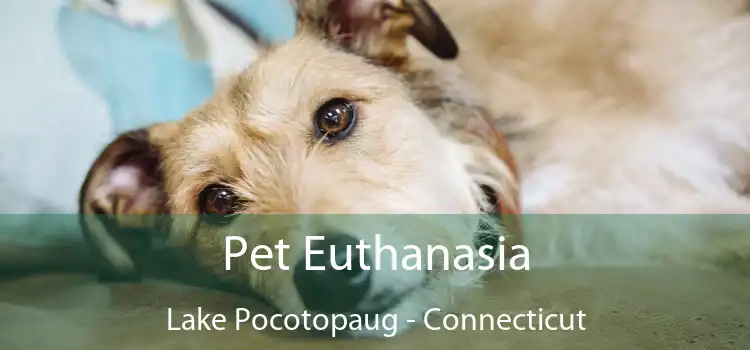 Pet Euthanasia Lake Pocotopaug - Connecticut