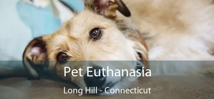 Pet Euthanasia Long Hill - Connecticut