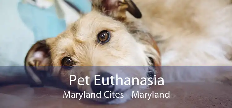 Pet Euthanasia Maryland Cites - Maryland
