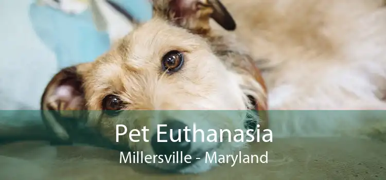 Pet Euthanasia Millersville - Maryland