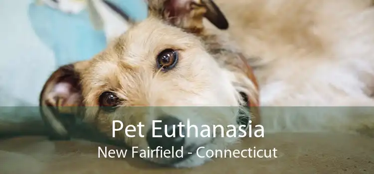 Pet Euthanasia New Fairfield - Connecticut