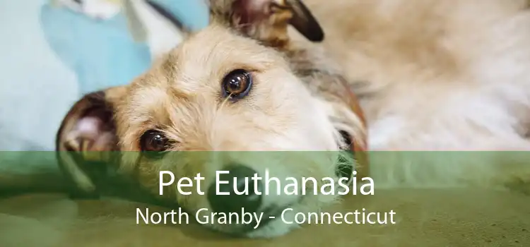 Pet Euthanasia North Granby - Connecticut