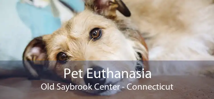 Pet Euthanasia Old Saybrook Center - Connecticut