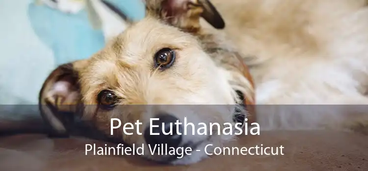Pet Euthanasia Plainfield Village - Connecticut