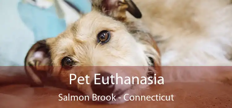 Pet Euthanasia Salmon Brook - Connecticut