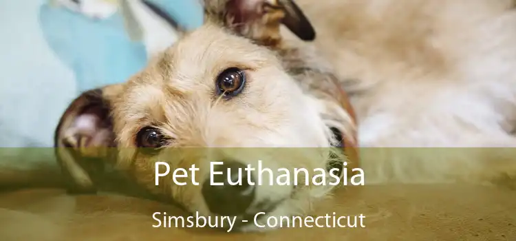 Pet Euthanasia Simsbury - Connecticut