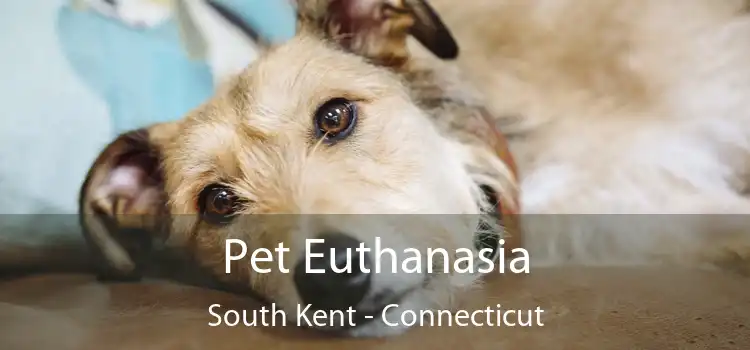 Pet Euthanasia South Kent - Connecticut