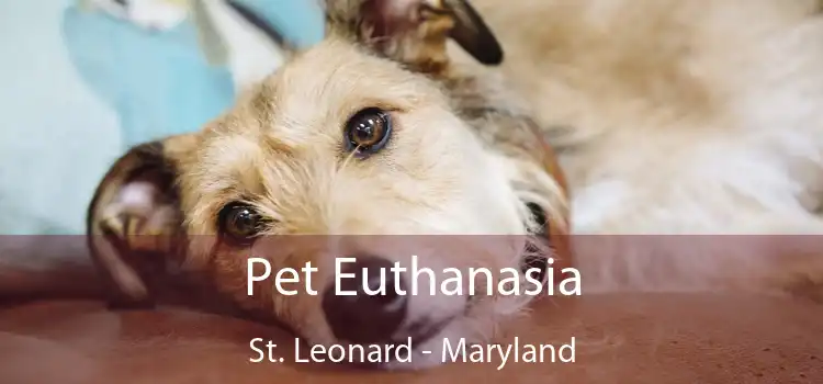 Pet Euthanasia St. Leonard - Maryland