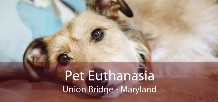 Pet Euthanasia Union Bridge - Maryland