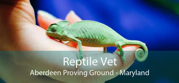 Reptile Vet Aberdeen Proving Ground - Maryland