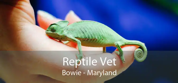 Reptile Vet Bowie - Maryland