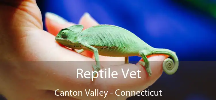 Reptile Vet Canton Valley - Connecticut