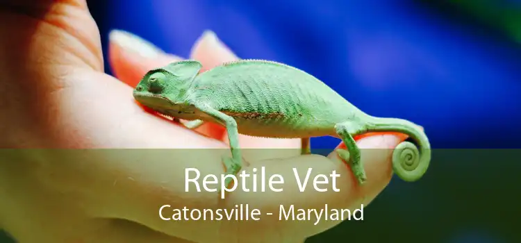 Reptile Vet Catonsville - Maryland