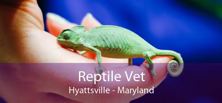 Reptile Vet Hyattsville - Maryland