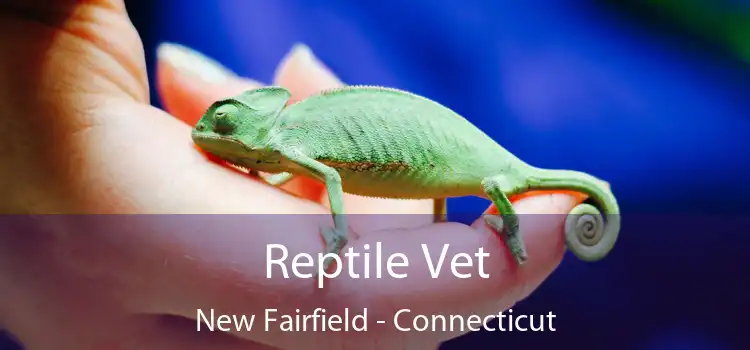 Reptile Vet New Fairfield - Connecticut