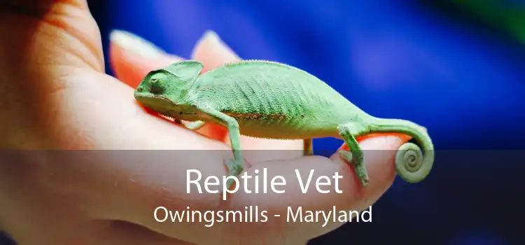 Reptile Vet Owingsmills - Maryland