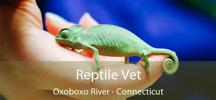 Reptile Vet Oxoboxo River - Connecticut