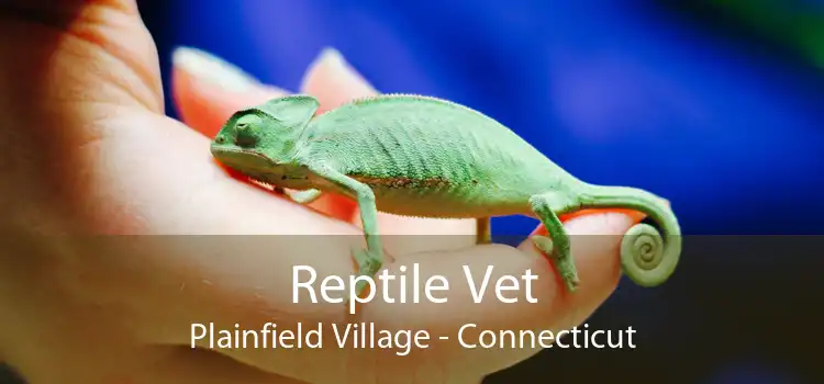 Reptile Vet Plainfield Village - Connecticut