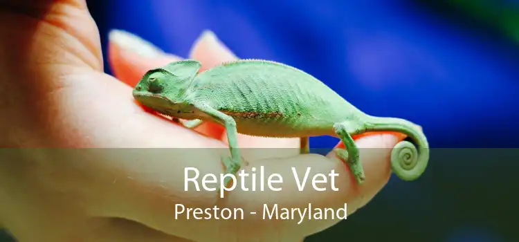 Reptile Vet Preston - Maryland