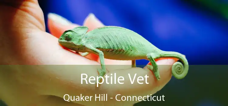 Reptile Vet Quaker Hill - Connecticut